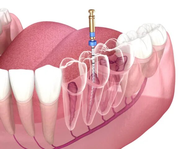 Davident Aesthetics - Clinica stomatologica